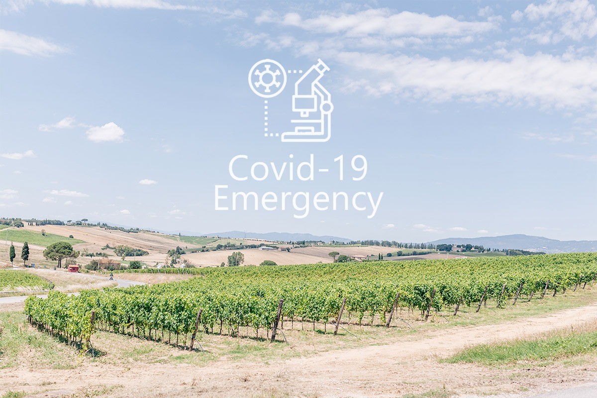 - A few thoughts about the Covid-19 emergency -